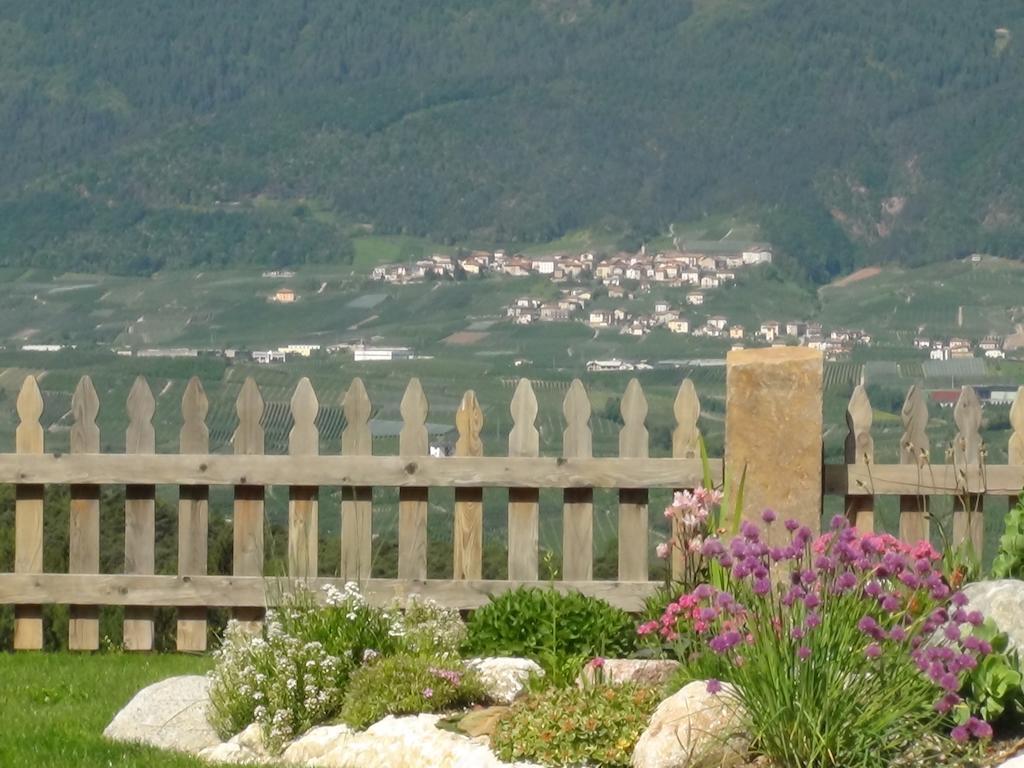コーレド Agriturismo Alpenvidehofヴィラ エクステリア 写真